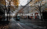 网友狂刷：国产SUV精品太上头了