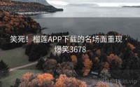 笑死！榴莲APP下载的名场面重现 · 爆笑3678