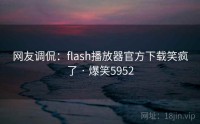 网友调侃：flash播放器官方下载笑疯了 · 爆笑5952