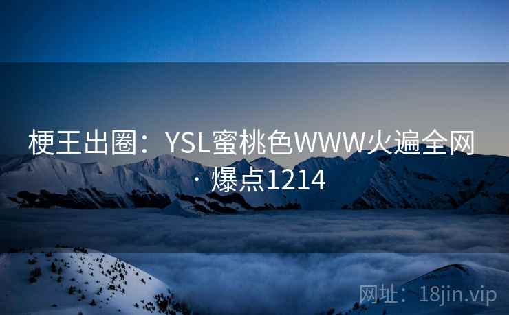 梗王出圈：YSL蜜桃色WWW火遍全网 · 爆点1214